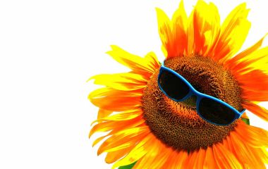 Óculos escuros sem filtro solar prejudicam a visão?
